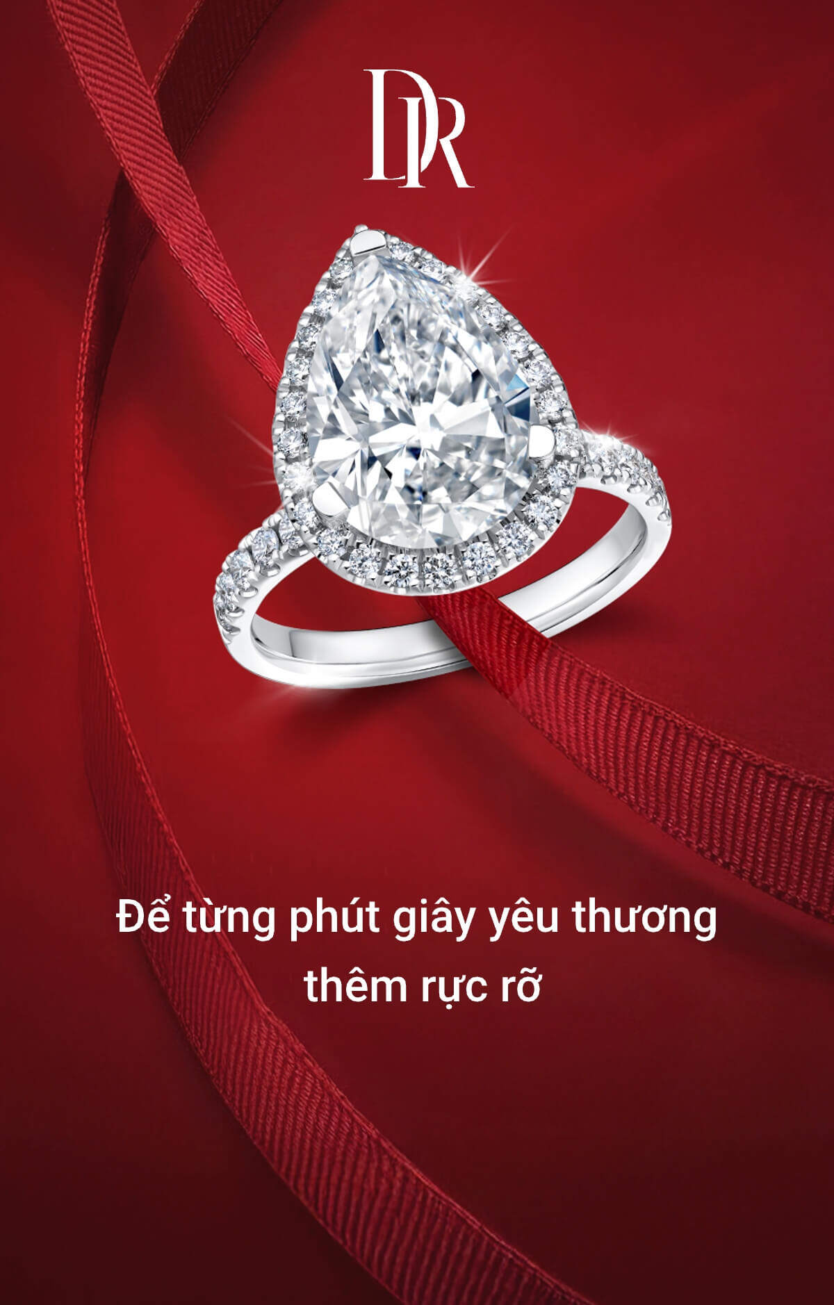 第4个产品 - PROMISE 系列